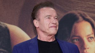 Schwarzenegger Andy Vanjaként említi Andy Vajnát egy friss interjúban