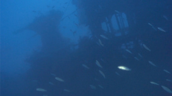 Hetvenhét év után fedezték fel Máltánál az eltűnt tengeralattjárót