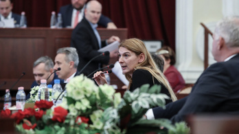 Baranyi Krisztinát egyetlen fővárosi bizottságba sem vették be, de ez nem végleges