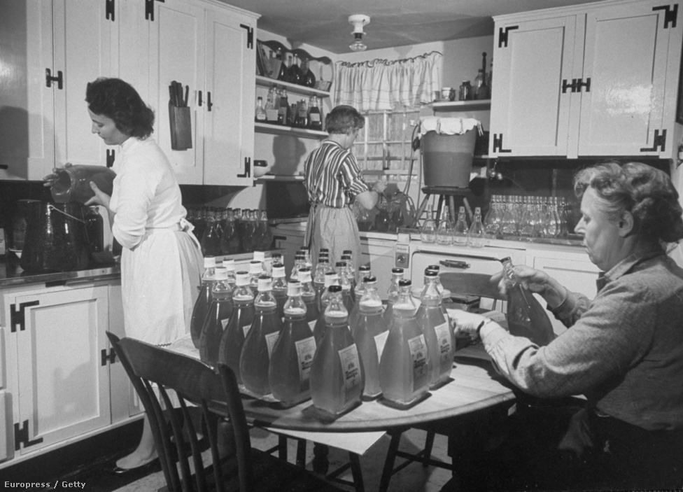 Bostoni életkép: háziasszonyok házi elixírt készítenek méz és ecet keverékéből. A "Honegar" ("Mezet") minden bajra jó, kivéve a fojtogatást: 1962. augusztus végéig újabb hat, 57 és 85 közötti nőt gyilkoltak meg lakásaikban. A legtöbbjüket saját nejlonharisnyájukkal fojtották meg.