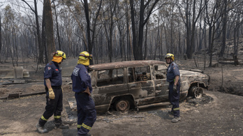Olyan pusztító tűzvész tombol Ausztráliában, hogy szükségállapotot rendeltek el