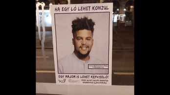 Rasszista plakátokat tettek ki egy józsefvárosi önkormányzati képviselőről a VIII. kerületben
