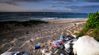 Hawaiinál hétszer annyi a műanyag a tengerben, mint a hal