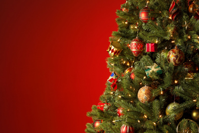 A te karácsonyfád tökéletes a tudomány szerint? A magasságot és a díszek számát is meghatározták