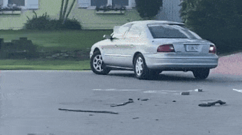 Egy kutya autóba zárta magát és elindult egy próbakörre