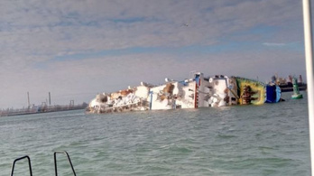Tizennégyezer birkával a fedélzetén borult fel Románia közelében egy hajó