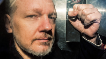 60-nál is több doktor sürgeti Assange orvosi ellátását