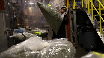 Kiszorítják a dílerek a legális kannabiszkereskedőket Kaliforniában