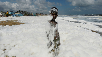 Büdös hab borította be India leghíresebb tengerpartját