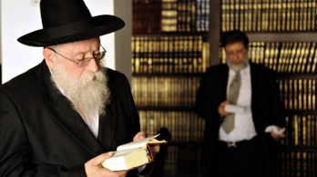 A rabbik nem értenek a webhez