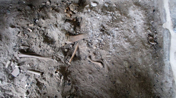 Női csontokat találhattak a nők számára tiltott Athosz-hegyen