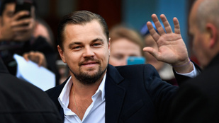 Leonardo DiCaprio nyomott egy kissé kínos baseballsapis táncot Diddy születésnapján