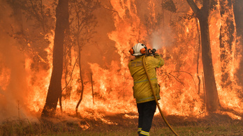 Két hónap alatt nyolc tűzoltó halt meg az ausztrál bozóttüzek miatt