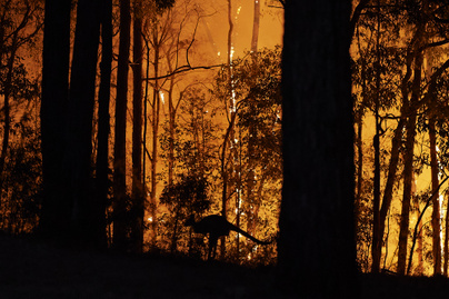 Ilyen csodálatos volt egykor az ausztrál tűzben leégett vidék: felfoghatatlan a tragédia