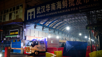 Két embert megölt a rejtélyes koronavírus Kínában