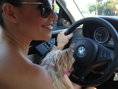 Bódi Sylvi kutyával az ölében vezetett BMW-t