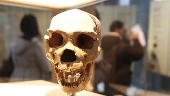 Eddig ismeretlen ősemberek létezésére találtak bizonyítékot Afrikában