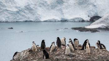 Abnormális tavaszi idő van az Antarktisznál