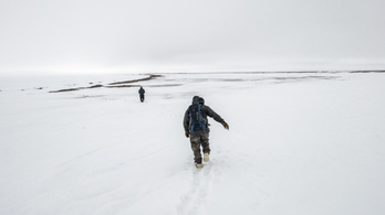 Hóba ásott lyukban élt túl egy éjszakát négy gyerek az alaszkai vadonban