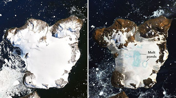 Néhány nap alatt eltűnt egy antarktiszi sziget hótakarójának ötöde