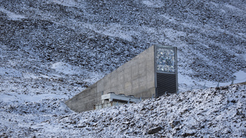 Több tízezer új vetőmaggal gazdagodott a norvég ítéletnapi bunker