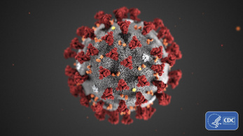 Elkészült a koronavírus elleni vakcina tesztverziója