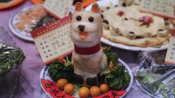 Koronavírus: Kínában betiltanák a kutya- és macskahús fogyasztását