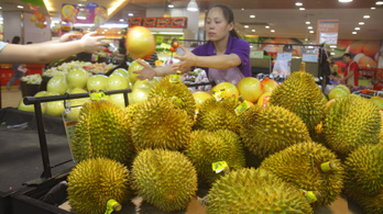 Kiderült, miért olyan büdös gyümölcs a durián