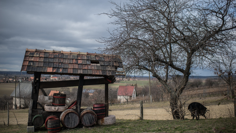 Az első generációs borászok vidéke, ahonnan még Angliába is visznek bort