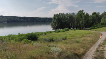 23,6 hektár fát vágnak ki a paksi Duna-híd építése miatt Natura 2000-es területen