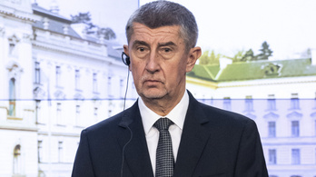 Nyilvánosan bocsánatot kért a cseh miniszterelnök a járvány kezelése alatti hibáikért