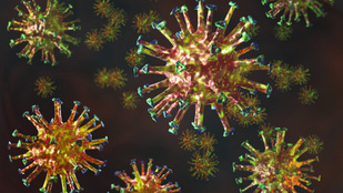 6 kérdés és válasz az új koronavírusról