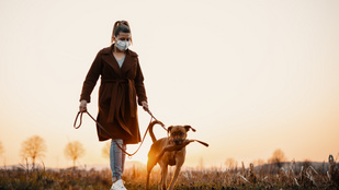 Tippek kutyasétáltatáshoz a járvány idejére