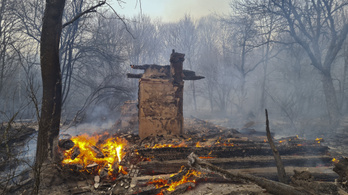 Greenpeace: Az erdőtűz Csernobilban másfél kilométerre van a szarkofágtól