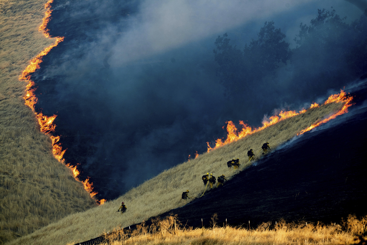 Noah Berger fotója a természet kategória második helyét kapta. A képen tűzoltók küzdenek a brentwoodi tűz eloltásáért. A tűz 2019. augusztus 3-án ütött ki és egészen 7.-ig égett, több mint 300 hektárnyi földet megsemmisítve. 