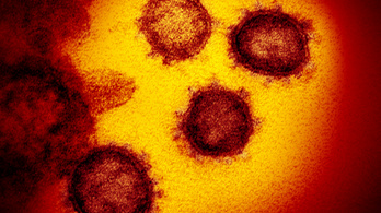 Tovább mutálódik az új koronavírus, már 33 törzse ismert