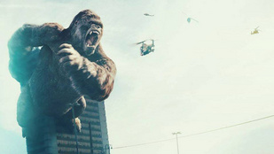 Óvatosan a Nagyvárad térnél, Godzilla elég zabosnak tűnik