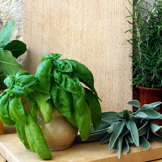 Ezért érdemes a konyhában növényt tartani – A kedvünk és a levegő is jobb lesz tőle