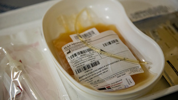 Két koronavírusos beteg megkapta a vérplazmából előállított szérumot a Semmelweis Egyetemen
