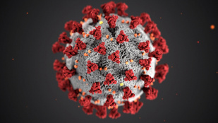 31 éves nő volt a koronavírus legfiatalabb áldozata az elmúlt 24 órában