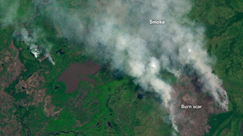 Rekordszámú tűz lobbant lángra a világ legnagyobb mocsaras területén