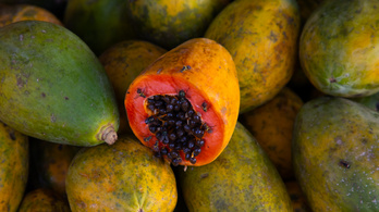 Tanzániában pozitív lett egy papaja koronavírustesztje