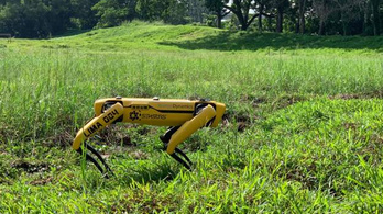Most lett igazán félelmetes a járvány: megjelentek a Boston Dynamics robotkutyái