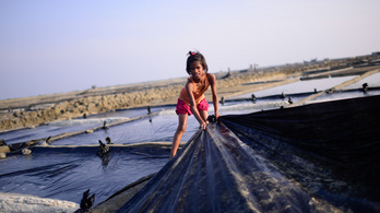A járvány gazdasági hatásai miatt nőhet a gyerekmunka is