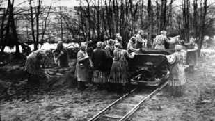 „Ordítottam a félelemtől” – a náci álorvosi kísérletek áldozatai a háború után