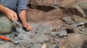 Tízméteres, sarlószerű karmokkal rendelkező dinoszaurusz maradványait találták meg Argentínában