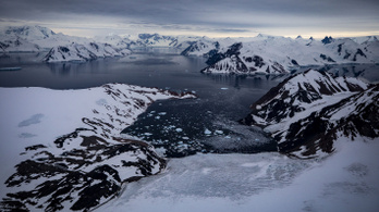 Műholdról vizsgálták, mekkora területen zöld a hó az Antarktiszon