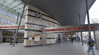 Kacsák miatt nem járt a metró az Örs vezér tere és a Puskás Ferenc Stadion között