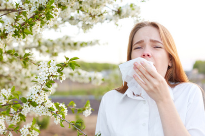 allergia nyitó pollen