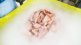 800 kiló szalmonellás lengyel csirkemájat hoztak Magyarországra
